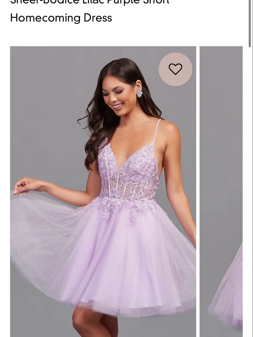 Lilac Embroidered Tulle Mini Dress with Sheer Bodice